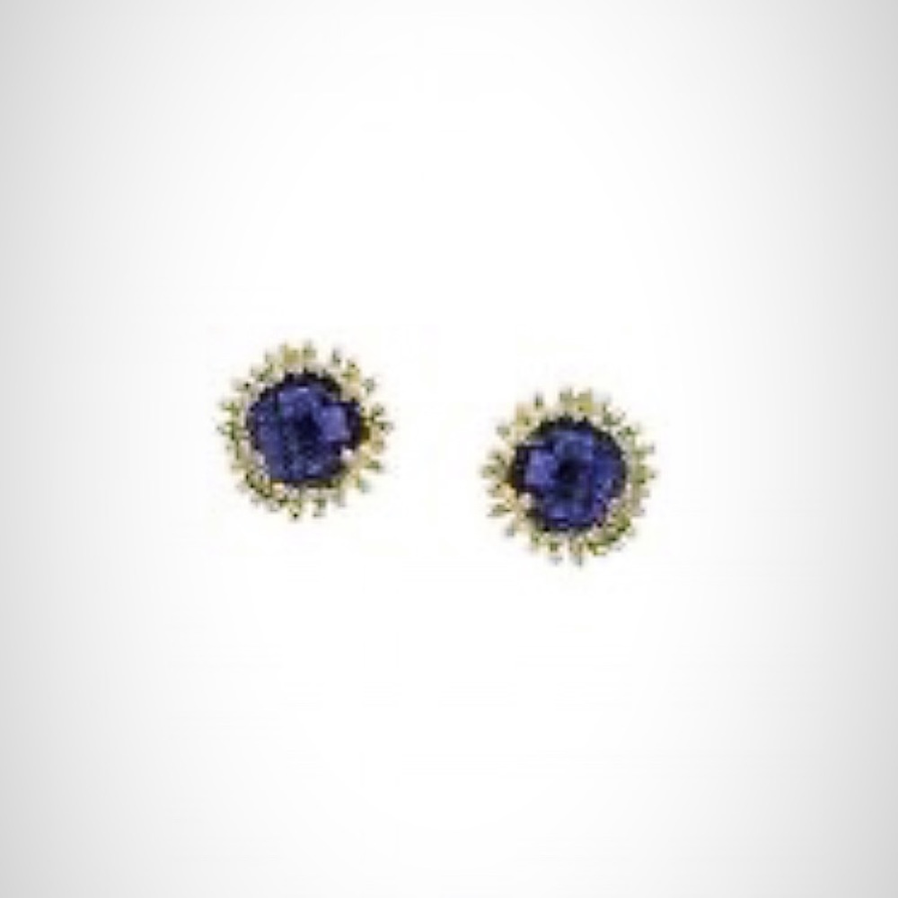 ISO Kendra Scott Carly Earrings in Iolite